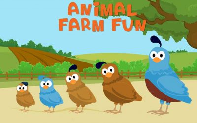 Animal Farm Fun